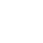 appraisal ico5 1